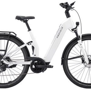 Pegasus Premio Evo FS10 Lite BCXS5/800Wh 45cm Wave metalli