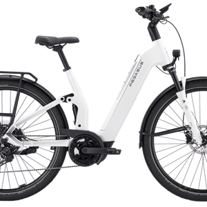 Pegasus Premio Evo FS10 Lite BCXS5/800Wh 45cm Wave metalli