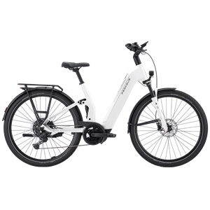 Pegasus Premio Evo FS10 Lite BCXS5/800Wh 45cm Wave metalli