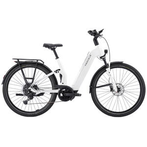 Pegasus Premio Evo FS10 Lite BCXS5/800Wh 45cm Wave metalli