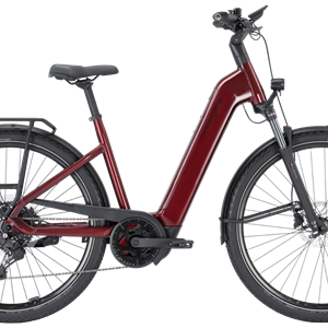 Pegasus Premio Evo 10 Lite BCXS5/600Wh 45cm Wave fire red