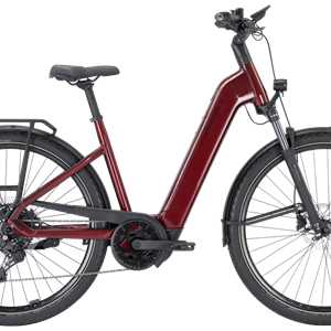 Pegasus Premio Evo 10 Lite BCXS5/600Wh 45cm Wave fire red