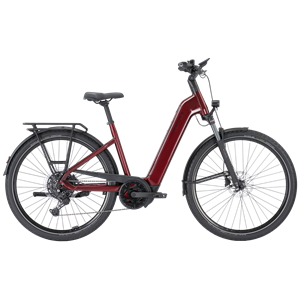 Pegasus Premio Evo 10 Lite BCXS5/600Wh 45cm Wave fire red