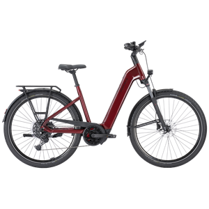 Pegasus Premio Evo 10 Lite BCXS5/600Wh 45cm Wave fire red
