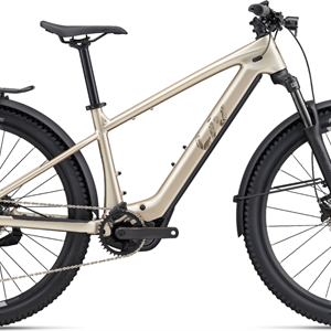 Liv Tempt E+ EX Gen2 - 430Wh