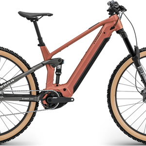 Conway Xyron ST 4.0 BCXS/800Wh 39cm 29" 12-fach red matt