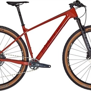 Focus Raven 8.8 29" 42cm