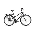 VSF FM T-300 Angl. 50cm 8-G. Alfine