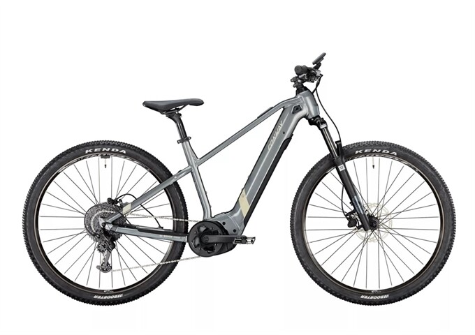 Conway Cairon S 2.0 BCX/625Wh 29" 49cm shadowgrey