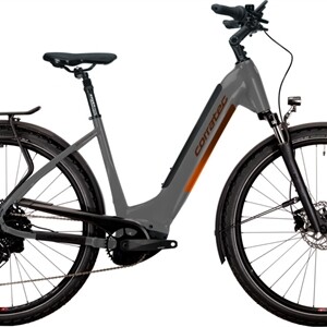 Corratec E-P Trekking 28 CX8 BCXS/800Wh 50cm Wave gold/dark