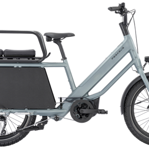 Pegasus FAMULO Cargo 10 - 800Wh